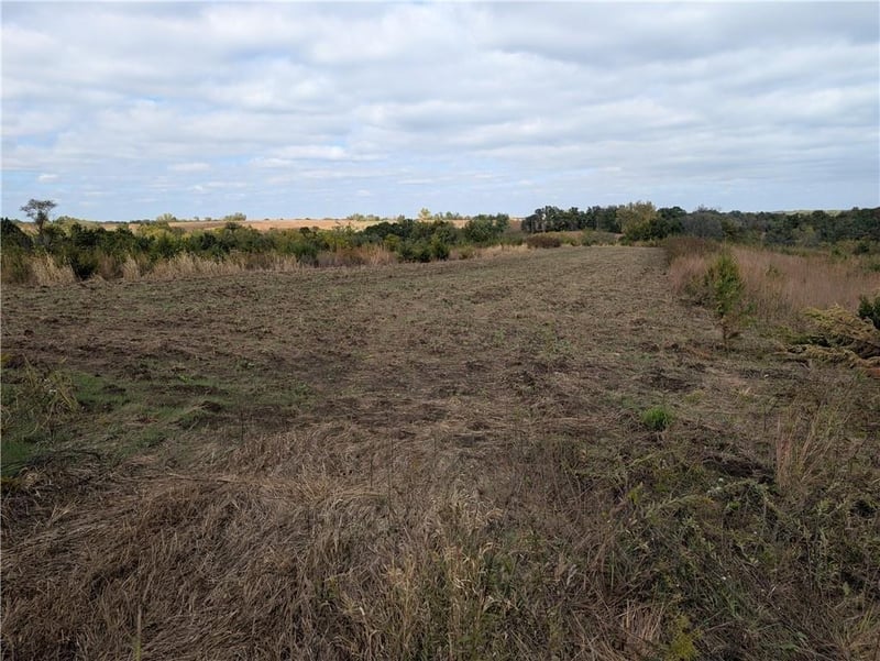 E 280th St, Ridgeway, MO 64481