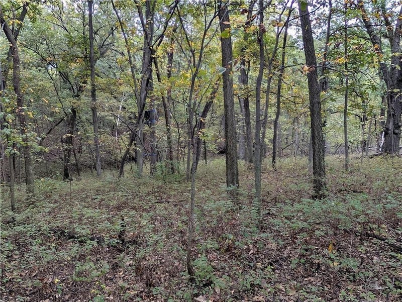 270th Ave, Ridgeway, MO 64481