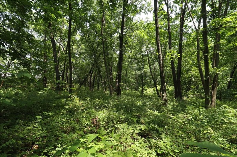 36 1200th Rd, Baldwin City, KS 66006