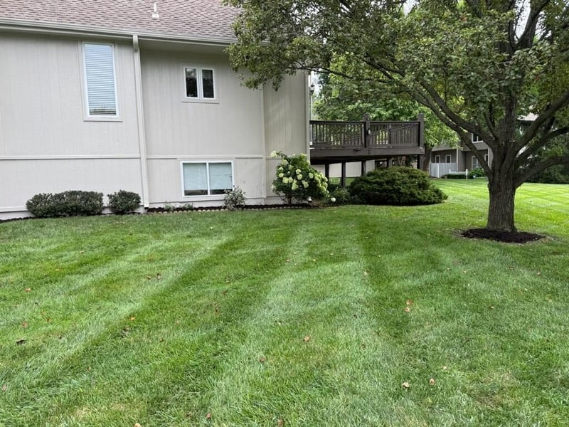 13653 Manor Rd, Leawood, KS 66224