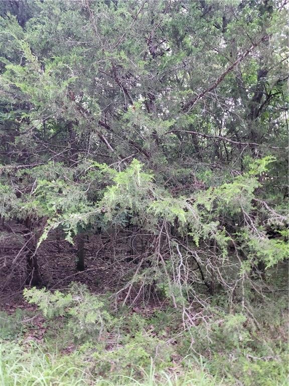 5 Silver Ln, Linn Valley, KS 66040