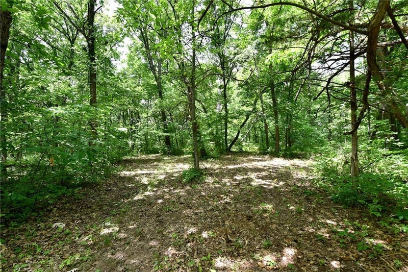 Tract2 150 St, Lone Jack, MO 64070