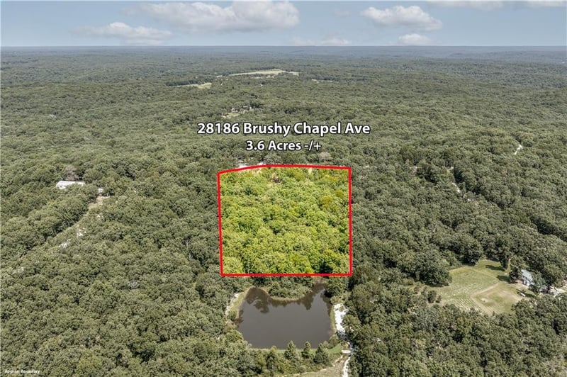 28186 Brushy Chapel Ave, Lincoln, MO 65338