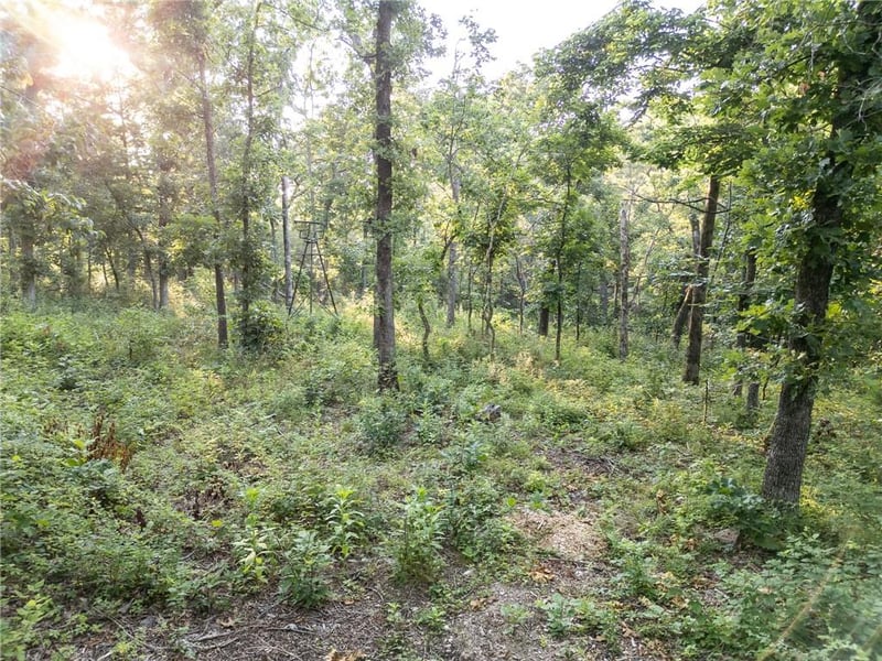 TBD Canfield Ln, Warsaw, MO 65355
