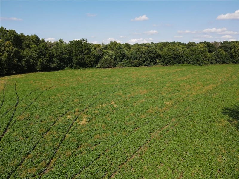 S Boardman Rd, Pleasant Hill, MO 64080