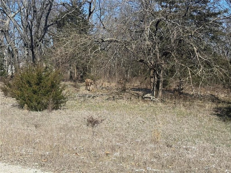 37 Poplar Ln, Linn Valley, KS 66040