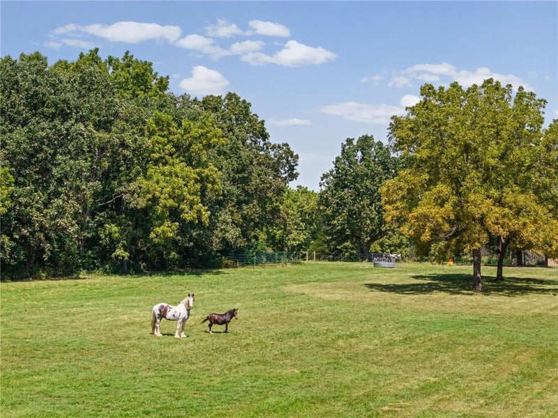 3371 S 8th Rd, Humansville, MO 65674