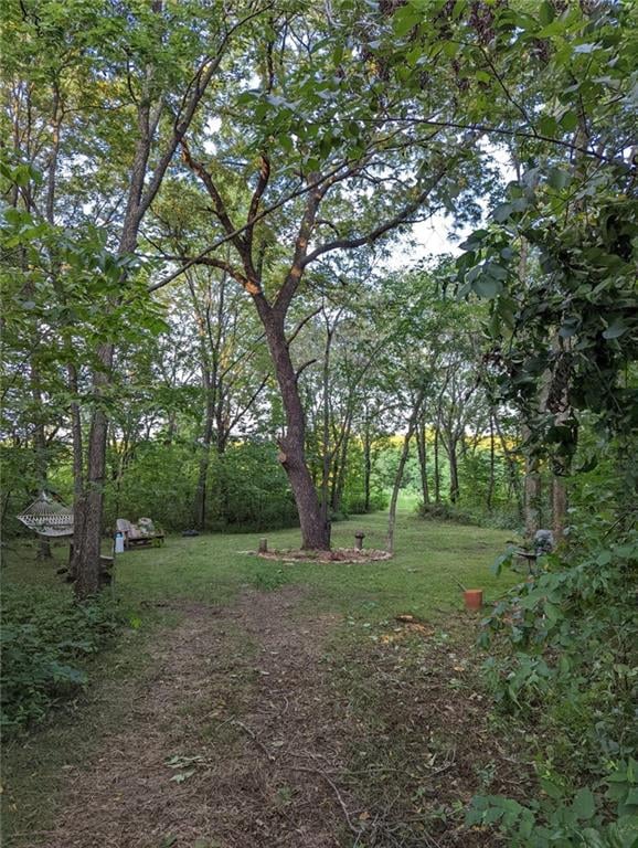 11606 E 355th St, Drexel, MO 64742