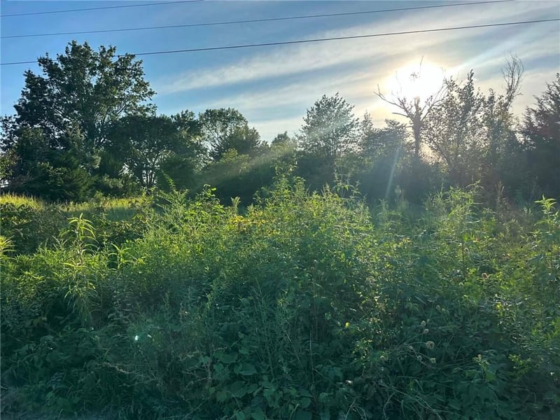 S Deer Run Rd, Peculiar, MO 64078