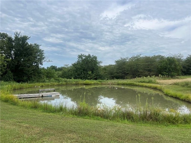 956 NW 1401 Rd, Odessa, MO 64076