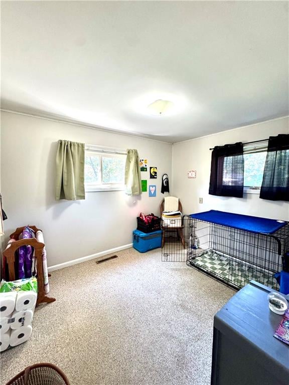 308 S Clayton St, Maryville, MO 64468
