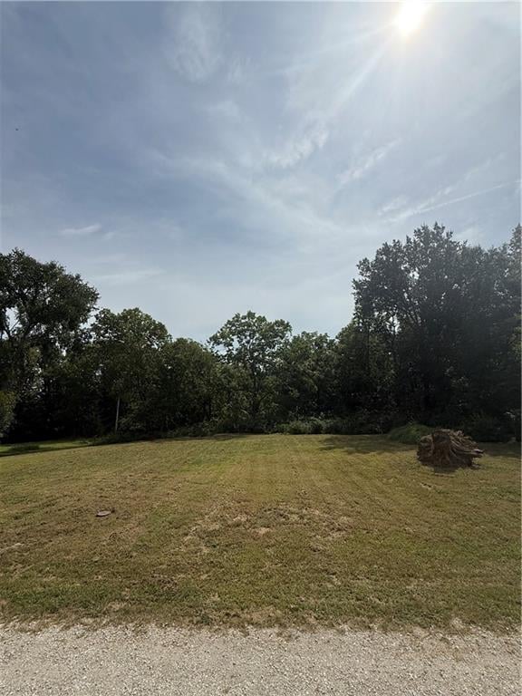 1209 N Lyne St, Raymore, MO 64083