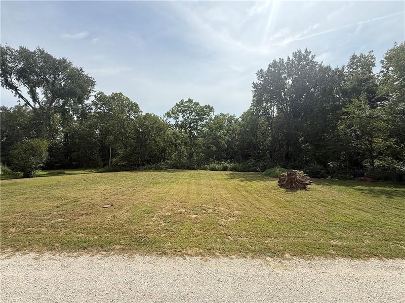 1209 N Lyne St, Raymore, MO 64083