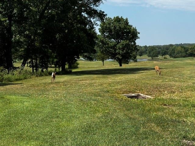 209 Fascination Ln, Linn Valley, KS 66040