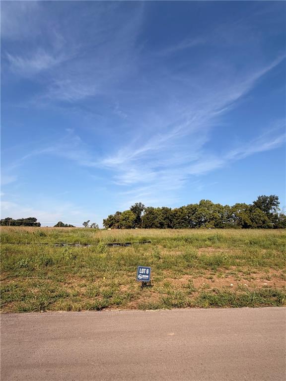 1100 Aria Dr, Raymore, MO 64083