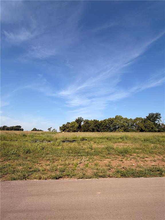 1090 Aria Dr, Raymore, MO 64083