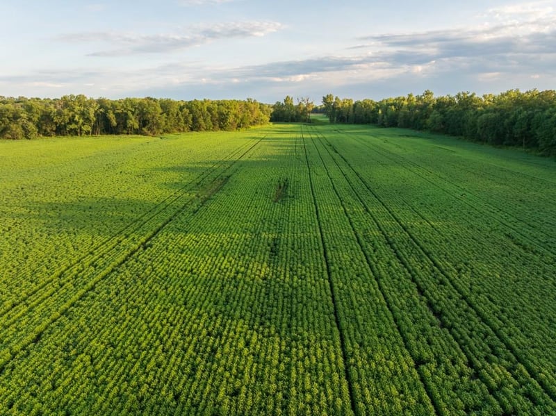 TBD State Route E N/A, Harris, MO 64645