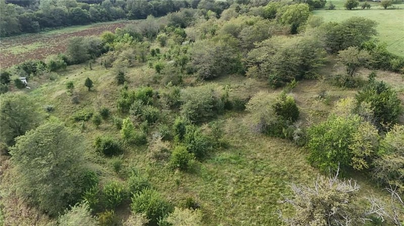 State Route E N/A, Savannah, MO 64485