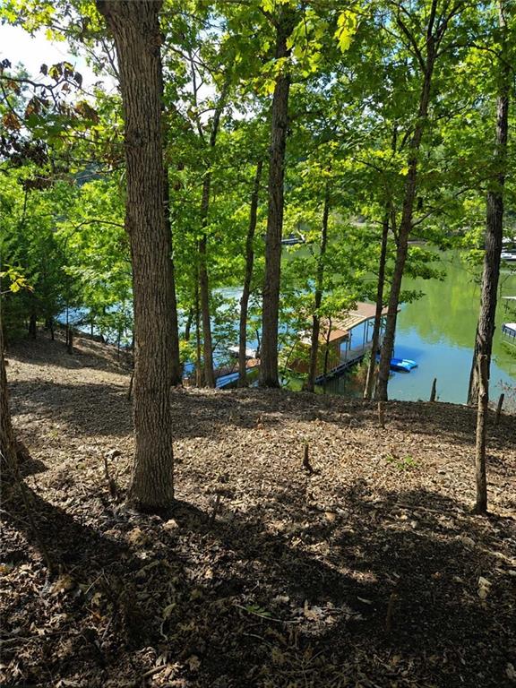 Stagecoach Ln, Gravois Mills, MO 65037