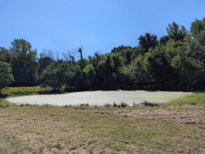 11205 S Cave Rd, Lone Jack, MO 64070
