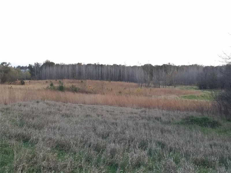 Jesse James Farm Rd, Kearney, MO 64060