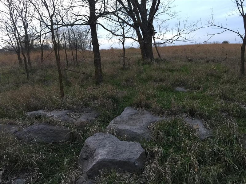 Jesse James Farm Rd, Kearney, MO 64060