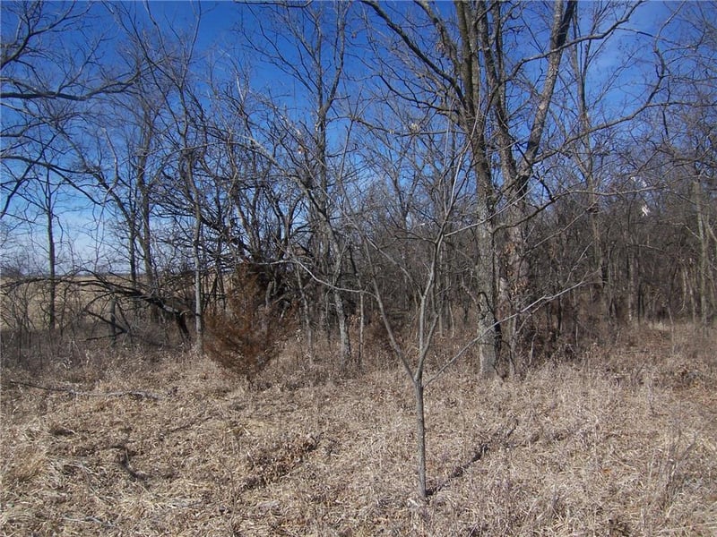242 Ter, Fulton, KS 66738