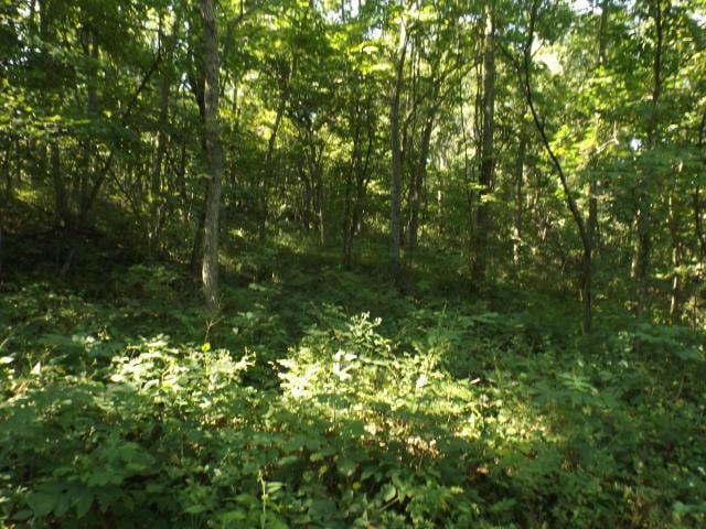 S 15951 Se 70th Rd, Faucett, MO 64448