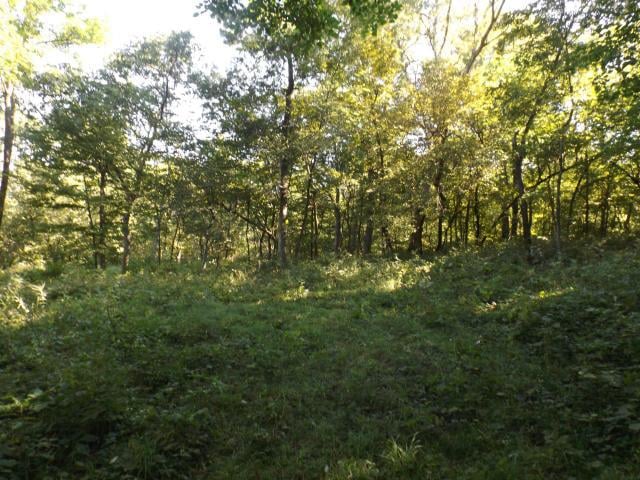 S 15951 Se 70th Rd, Faucett, MO 64448