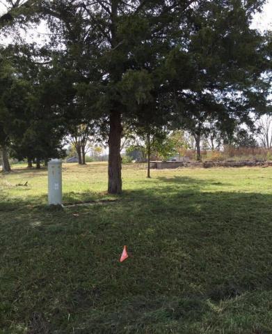 295 N 1st St, Breckenridge, MO 64625