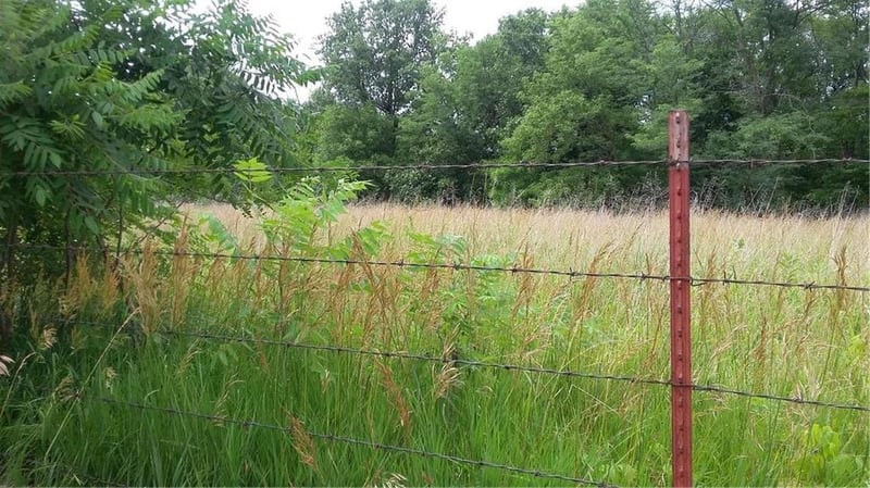 SW 301 Rural Route, Chilhowee, MO 64733