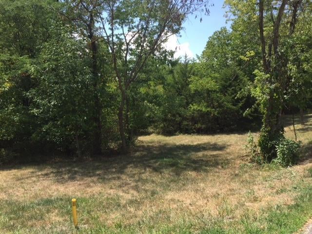 73rd St, Shawnee, KS 66227