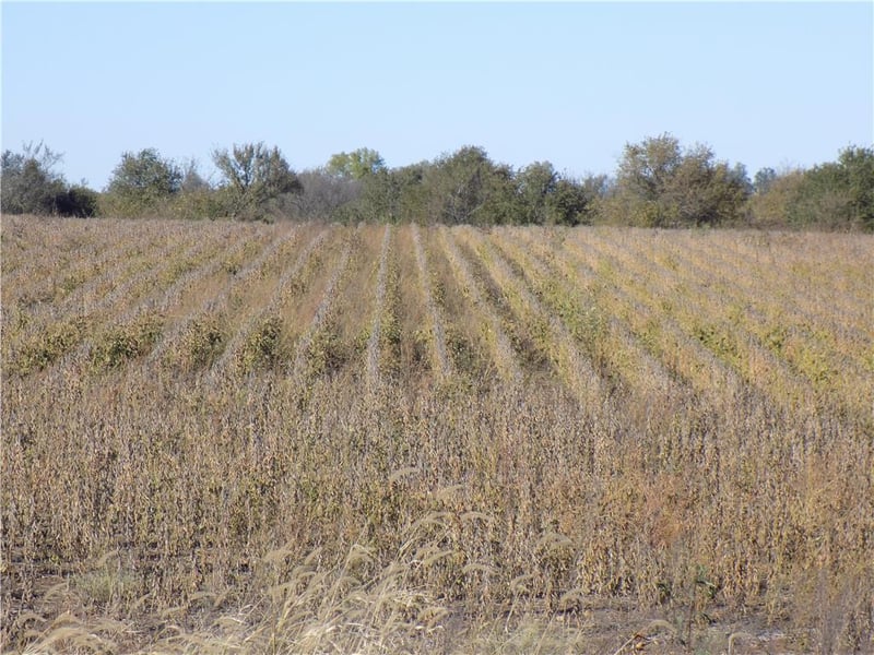32625 SE 800 Rd, Kincaid, KS 66039