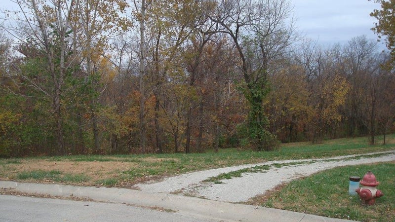 Carson Ln, Wood Heights, MO 64024