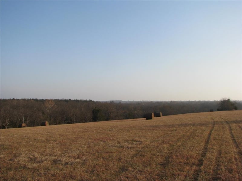 4544 John Brown Dr, Rantoul, KS 66079