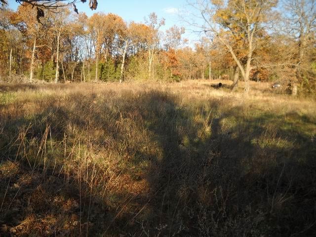 Hwy O, Flemington, MO 65650