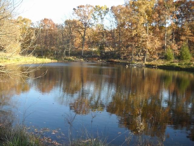 Hwy O, Flemington, MO 65650