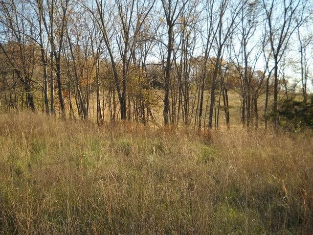 Hwy O, Flemington, MO 65650