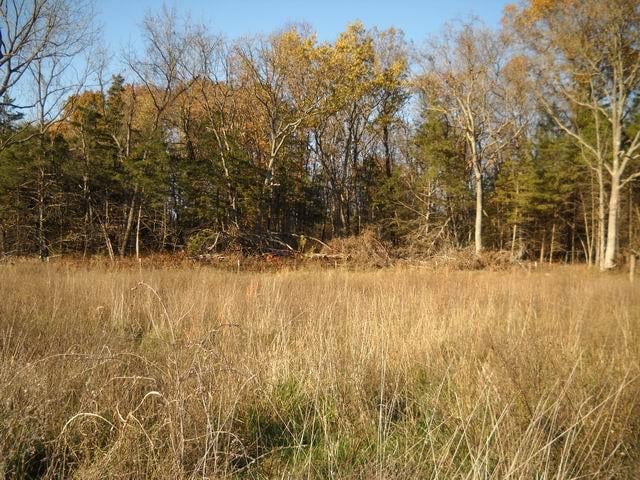 Hwy O, Flemington, MO 65650