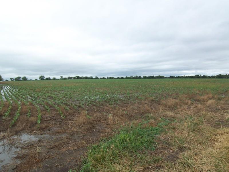 400 Rd, Blue Mound, KS 66010