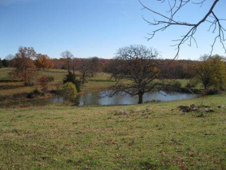 2289 S 851 Rd, El Dorado Springs, MO 64744