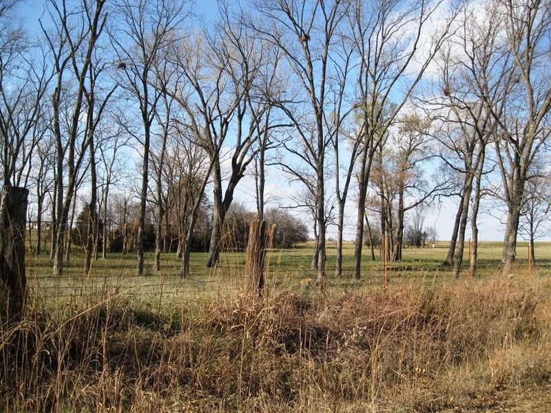 Jayhawker & 2900 Rd, Harwood, MO 64750