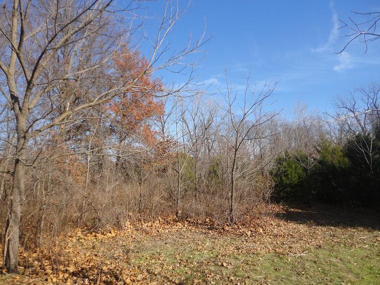 Duck & Dove Rd, Harwood, MO 64750