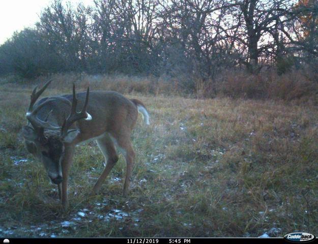 SW 4508, Hume, MO 64752