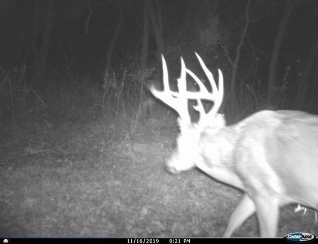 SW 4508, Hume, MO 64752