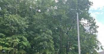 Pinecrest Rd #128, Green Bay, WI 54313