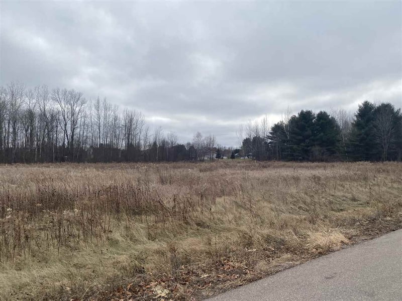 Mader St, Gresham, WI 54128-0000