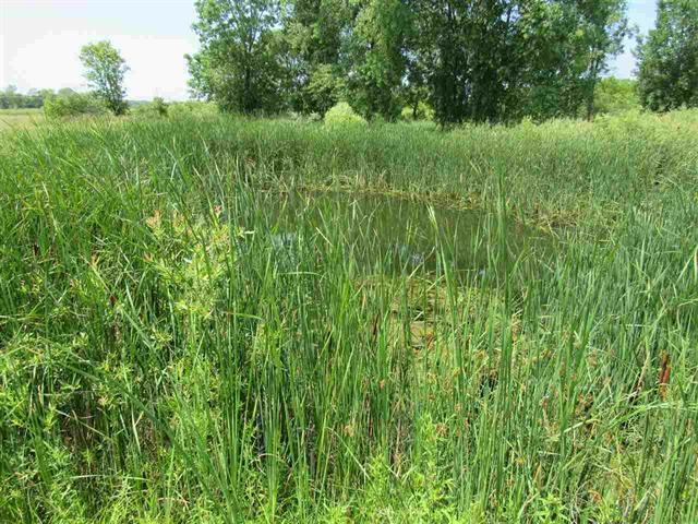 4301 White Hawk Dr, Appleton, WI 54913