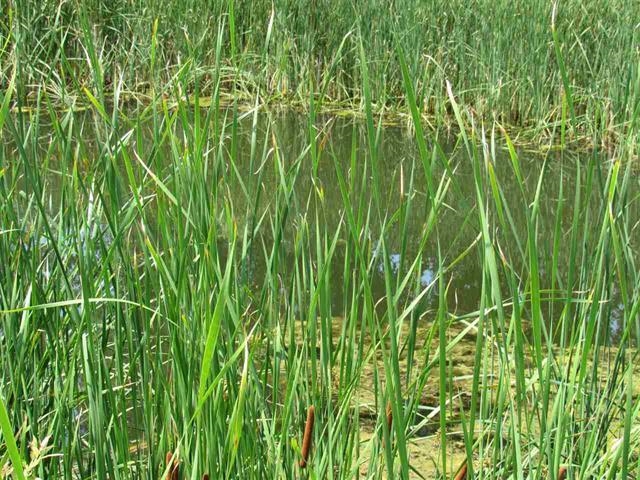 4301 White Hawk Dr, Appleton, WI 54913