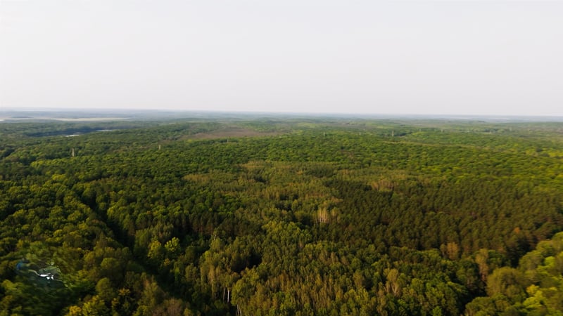 Tower Rd #8, Crandon, WI 54520